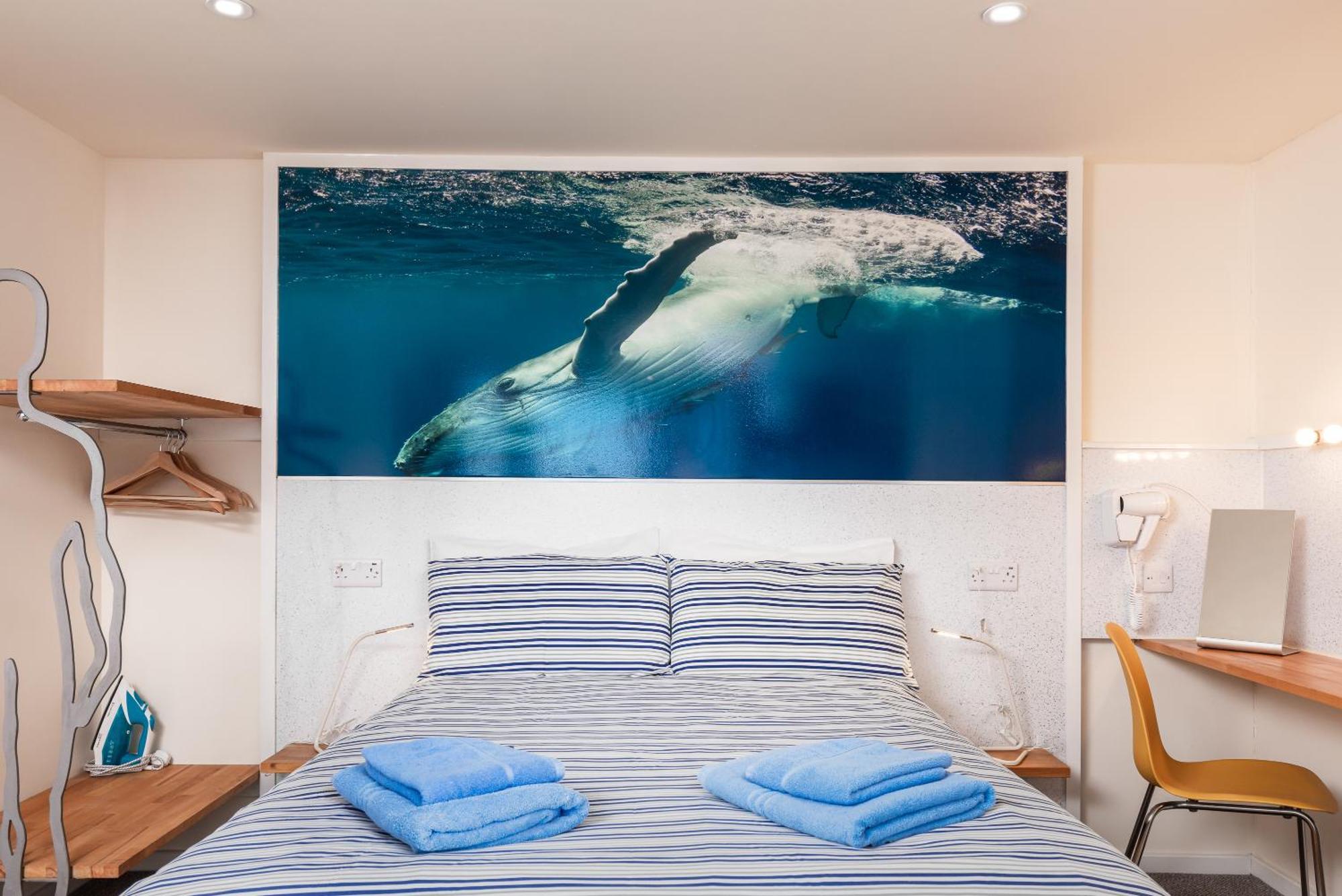 Discovery House Вітбі Екстер'єр фото